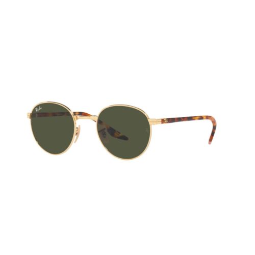 Gafas de sol Ray Ban 3691 001/31